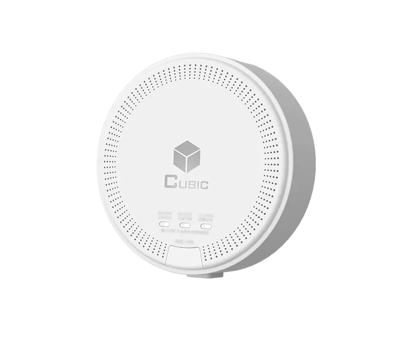 Detector de gas natural CH4 AM5301